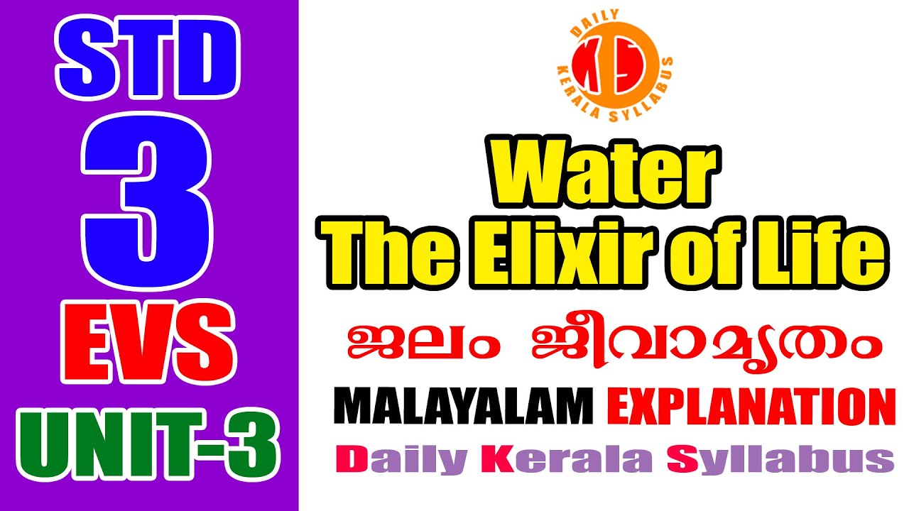 STD 3 EVS Class 3 UNIT 3 Water The Elixir Of Life Full Activities - YouTube