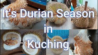 Sarawak Adventures, Ep. 113: It's Durian Season in Kuching