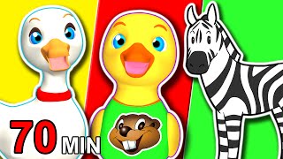 Animal ABCs + More | Collection of Animals Songs, Childrens Finger Family Cartoon Nursery Rhymes