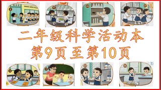 二年级科学活动本第9和第10页讲解