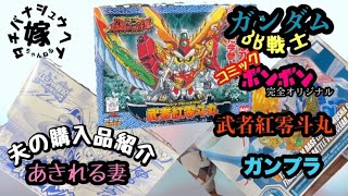 【平成に】購入したガンプラを紹介【取り残された男】