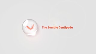 The Zombie Centipede