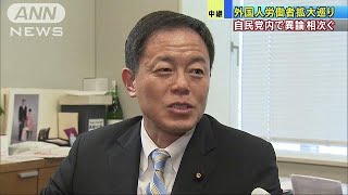 入管法改正案は調整難航　自民党内で異論相次ぐ(18/10/26)