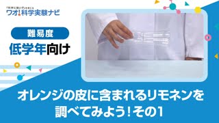 実験レシピ　オレンジの皮に含まれるリモネンを調べてみよう！その１