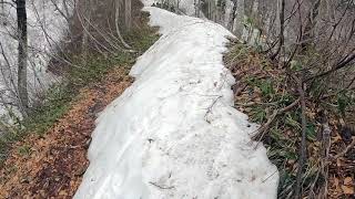 雨飾山ガシガシ登山