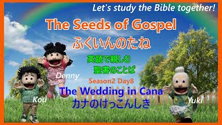 【 2-8 The Wedding in Cana  / カナのけっこんしき 】英語で聖書に親しむ『 The Seeds of Gospel 』~ふくいんのたね~