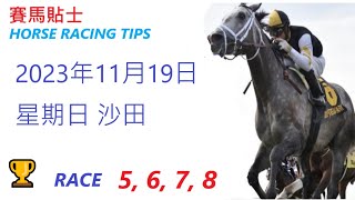 🏆「賽馬貼士」🐴  2023 年11月 19 日, 星期日, 沙田🐴    香港賽馬貼士  HONG KONG HORSE RACING TIPS  🐴 RACE   5  6  7  8