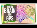 This Is Your Brain on GPS