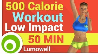 500 Calorie Workout Low Impact