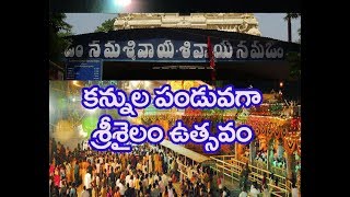 శ్రీశైలం బ్రహ్మోత్స‌వాలు స్పెష‌ల్ విజువ‌ల్స్ Srisailam Temple Brahmotsavalu latest