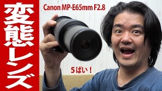 究極のド変態レンズ！Canon MP-E65mm F2.8 1-5×マクロフォト 最大5倍のマクロレンスでiPhoneアプリのアイコンを撮ったらこうなった