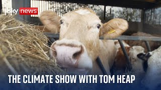 The tension over solar, and could Trump reverse climate progress? The Climate Show with Tom Heap