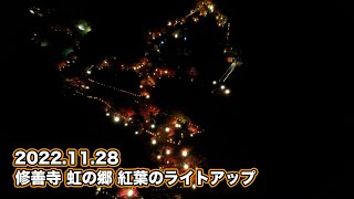 2022.11.28撮影  修善寺 虹の郷 紅葉のライトアップ