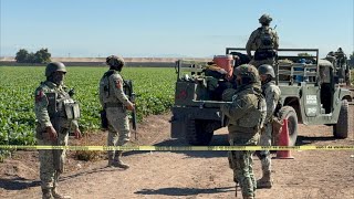 #envivo EN UN CAMPO AGRÍCOLA HALLAN SIN V1DA A UN JOVEN