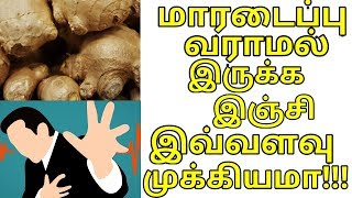 மாரடைப்பு வராமல் இருக்க இஞ்சி எவ்வளவு முக்கியம் தெரியுமா | Ginger Health Tips | backtotamillife