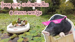 ลลิลพาเที่ยว Mini Zoo โซนศาลายา บ้านสวนปรีดา  / ลลิล แฟมิลี่ EP.2