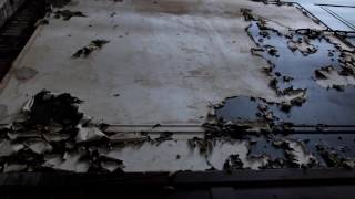 Inside the abandoned Leith Theatre