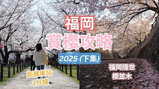 福岡隱世櫻並木 ︳距離車站3分鐘的賞櫻景點︳ 2025福岡賞櫻攻略下集