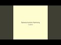 Serene Aurora Harmony