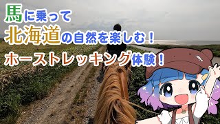 【北海道生活】見たら馬に乗りたくなる！北海道のホーストレッキングはこんな感じ！【つむぐ旅】