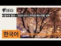 K-컬처의 향연…'2024 시드니 코리안 페스티벌' 성료 | SBS Korean - SBS 한국어 프로그램