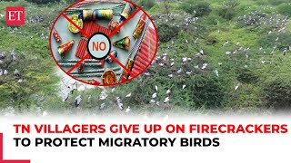 Villagers in TN’s Sivaganga district give up on firecrackers to protect migratory birds