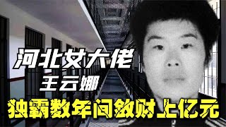 河北頭號女黑老大王云娜，獨霸河北數年斂財上億元，手段殘忍至極 #案件 #探案 #懸案 #懸疑 #案件解說