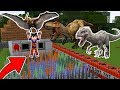 FOMOS ENGANADOS PELA ARMADILHA CONTRA OS DINOSSAUROS  NO MINECRAFT!