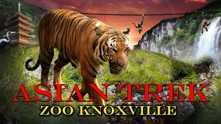 Zoo Tours: The Brand New! Asian Trek | Zoo Knoxville