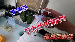 ワカサギ釣り!氷上の檜原湖　Smeif fishing