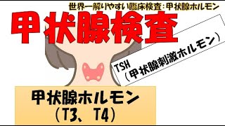 甲状腺ホルモン　世界一解りやすい臨床検査