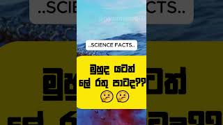 🌊මුහුද🌊 යටත් 🩸 ලේ 🩸රතු පාටද?? 🤔🤔🤔