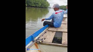 Mencari sambaran ikan diair pasang