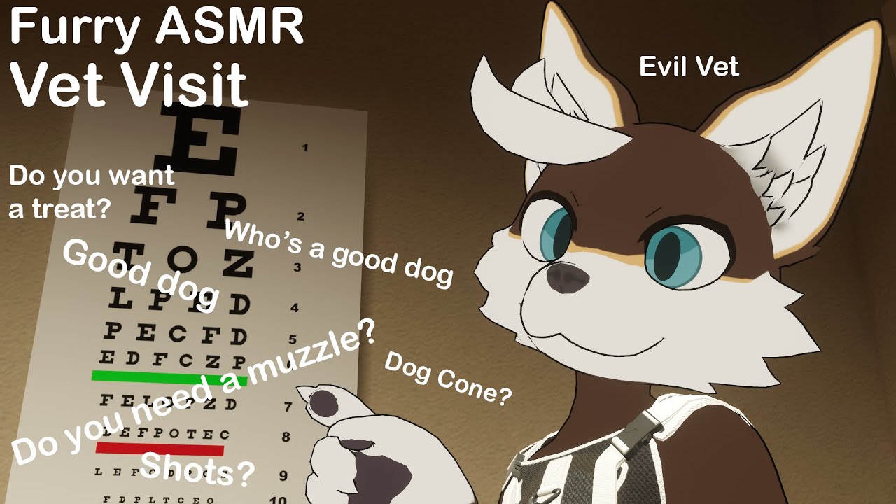 Furry Asmr Vet Visit Youtube