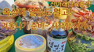 바쁜한주를 보내고!~이젠 옥상월동준비에 대비를 해야할 날씨를 보입니다