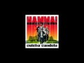 Culcha Candela - Hamma Remix Nice!