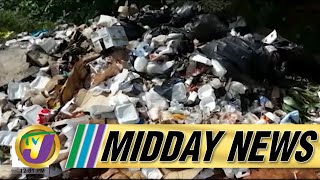 Poor Garbage Collection | JLP Supporters Protest | TVJ Midday News