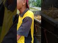 Abg Gimok Makan Durian Bukit Gantang,Perak