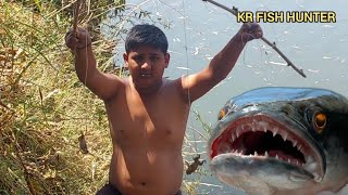 मरळ मासे पकडण्याची सोपी पध्दत Amazing Frog fishing catch snakehead fish | kr fish hunter video No.91