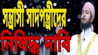 সন্ত্রাসী সাদপন্থীদের নিষিদ্ধের দাবি, mawlana junaid bin shofik. mawlana junaid bin shofik official