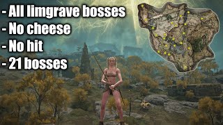 All 21 Limgrave bosses no hit, no cheese - Elden Ring