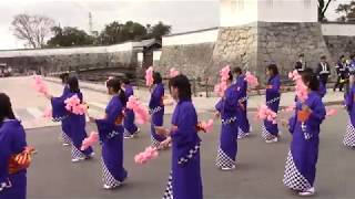 第114回赤穂義士祭 赤穂おどり【兵庫県赤穂市】（平成29年・2017）