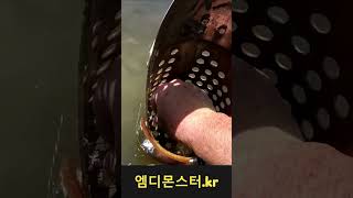 나비야 나비야~~ 🦋🦋🦋   #후기 413 #엠디몬스터 #금속탐지기 @migukaje @금속탐지기 #이색취미