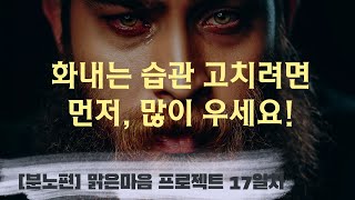 [분노없는 삶] 17일차_먼저 많이 울어야합니다.