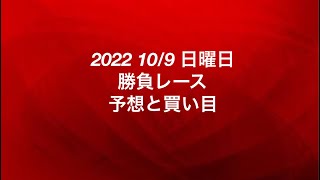 2022 10/9 日曜日 勝負レース 予想と買い目