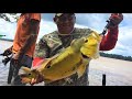 Peacock bass fishing in Suriname