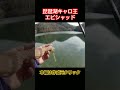 エビシャッドの釣れそうなカラー見つけた😀 ダイ バス釣り 野池 溜池 岡山