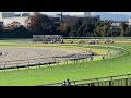 【現地映像】セラフィナイト　2020年11月23日東京2r 2歳未勝利1600m