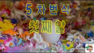 8개월 전부터 시작된 번식이 5차에 접어드네요.