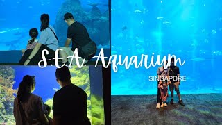 SEA Aquarium Singapore 2024